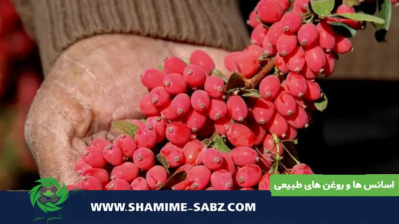 معجزه طبیعت در درمان بیماری‌ها