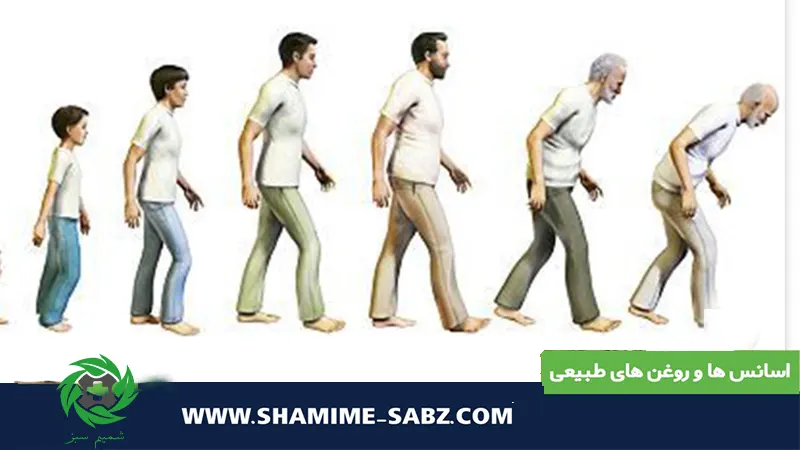 عادت‌هایی که عمر را طولانی‌تر می‌کنند